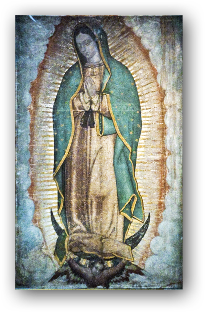 Nossa Senhora de Guadalupe Padroeira da América Latina